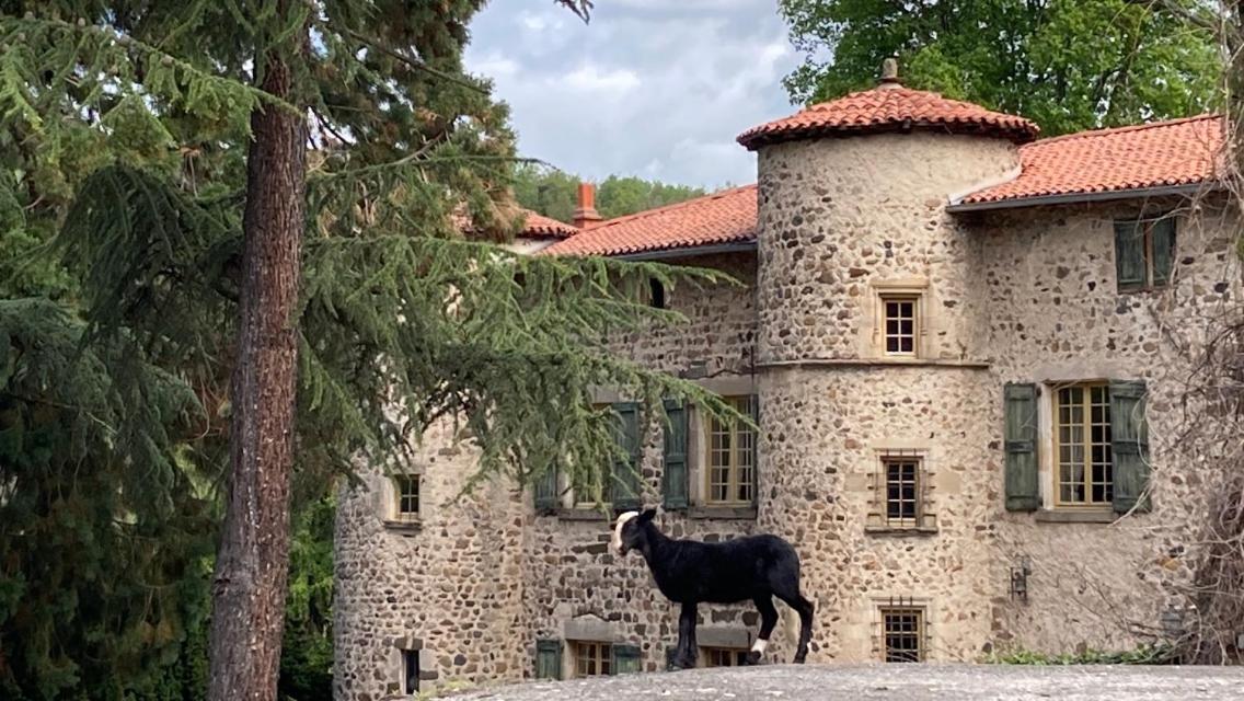 Chateau De Durianne Le Monteil  Εξωτερικό φωτογραφία