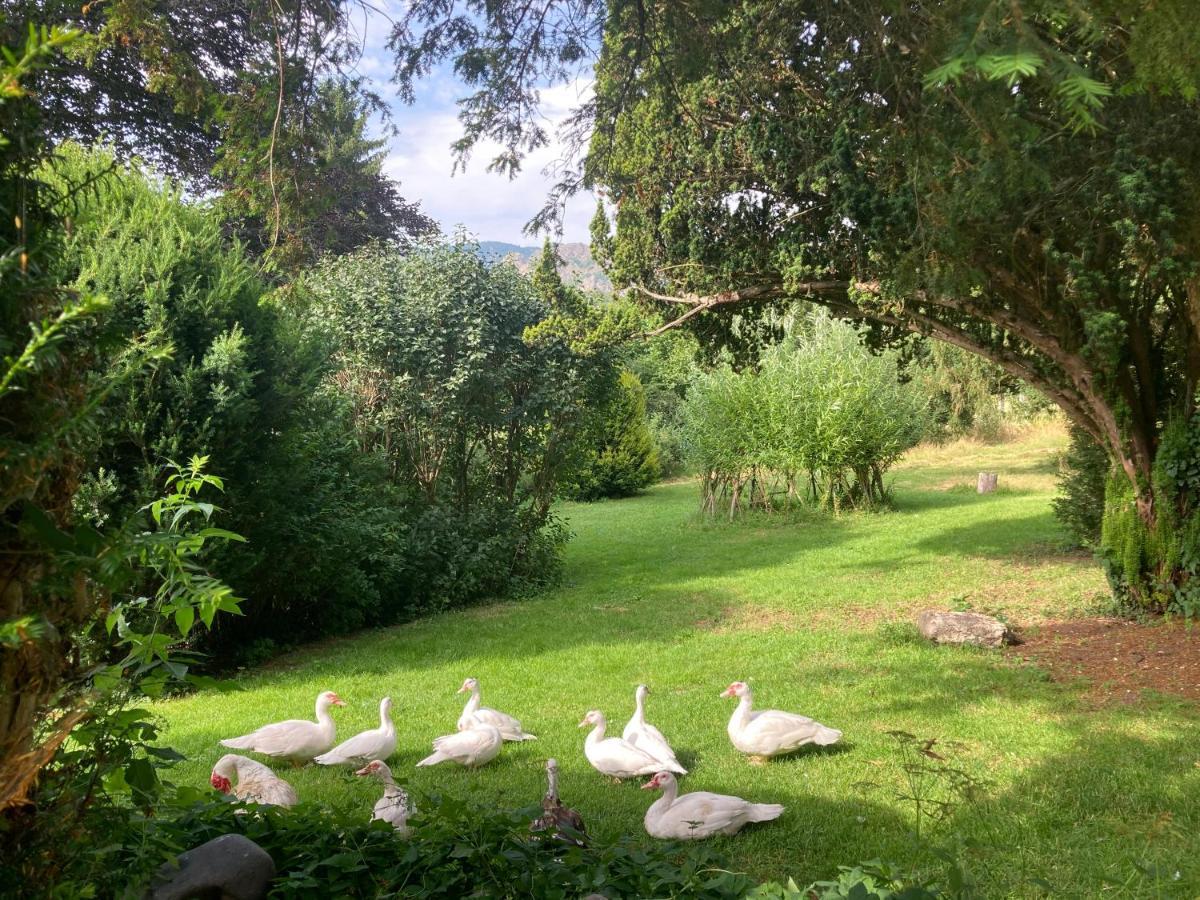 Chateau De Durianne Le Monteil  Εξωτερικό φωτογραφία
