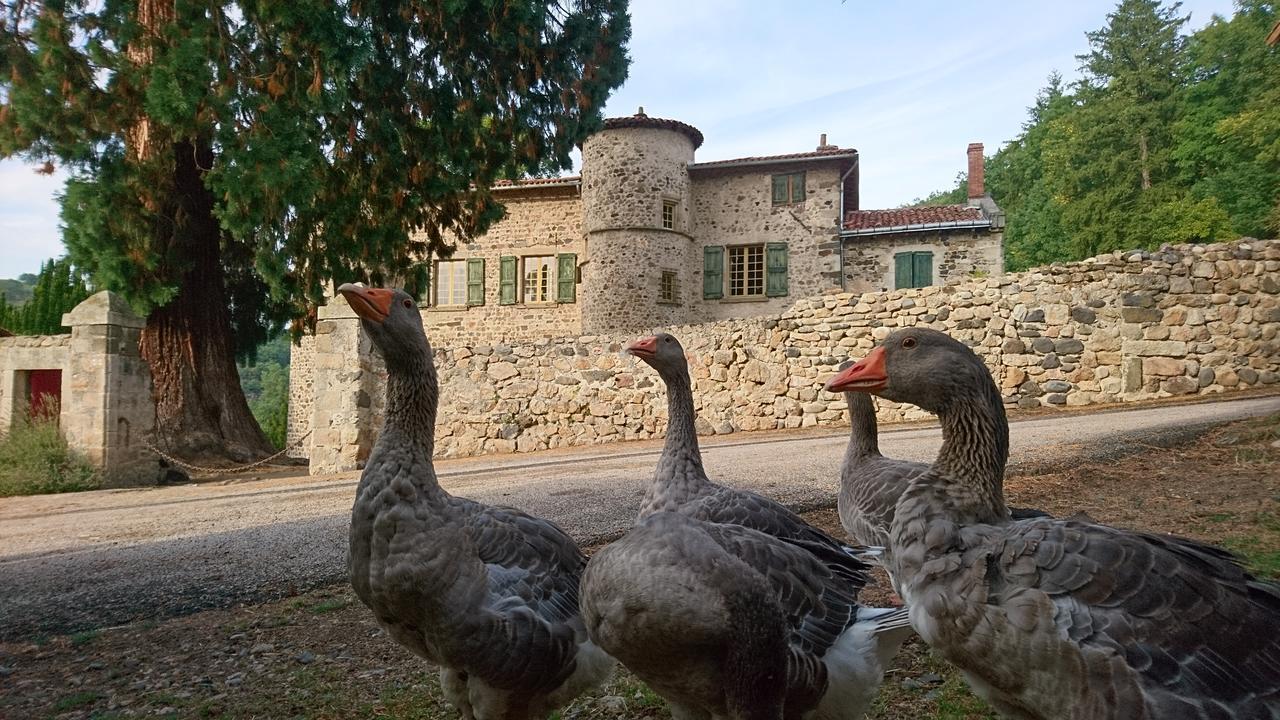 Chateau De Durianne Le Monteil  Εξωτερικό φωτογραφία